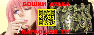 бошки Вязьма