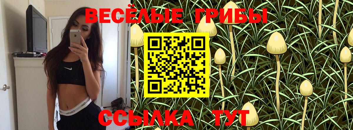 Псилоцибиновые грибы Psilocybe  Галлюциногенные грибы мухоморы  Вход с VPN  Гай 