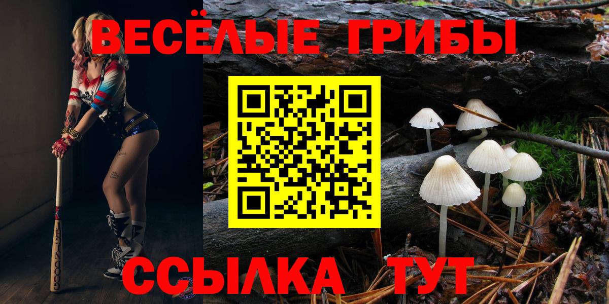 Псилоцибиновые грибы Magic Shrooms Гай